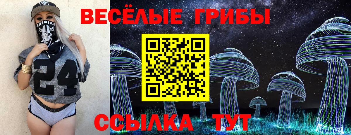 Галлюциногенные грибы Psilocybe Ивантеевка